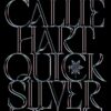 Fae & Alchemy Series 2 Books Collection Set By Callie Hart (Quicksilver & Brimstone)